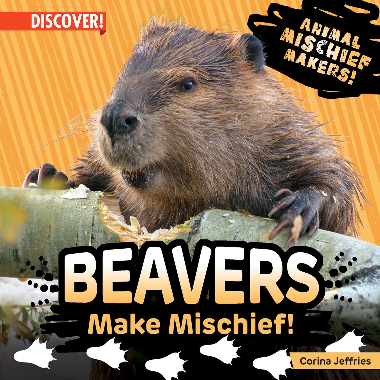 Beaver make mischief - Book cover