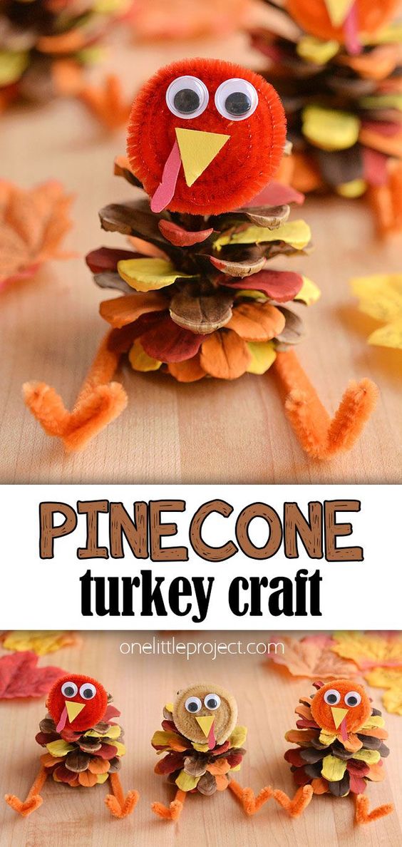 Pinecone Turkey