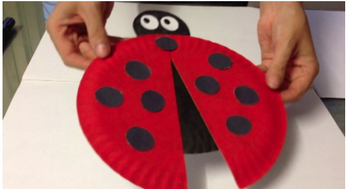 Paper plate ladybird/bug - craft