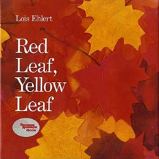 Red Leaf, Yellow Leaf by Lois Ehlert 