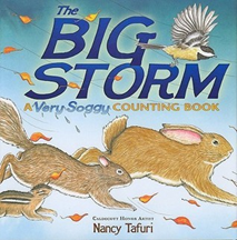 Cover for The Big Storm by Nancy Tafuri