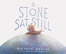Cover of book A Stone Sat Still