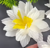 3D Cupcake Liner Flower 