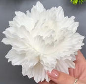 3D Cupcake Liner Flower 3 