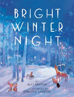 Bright winter Night by Ali Brydon 