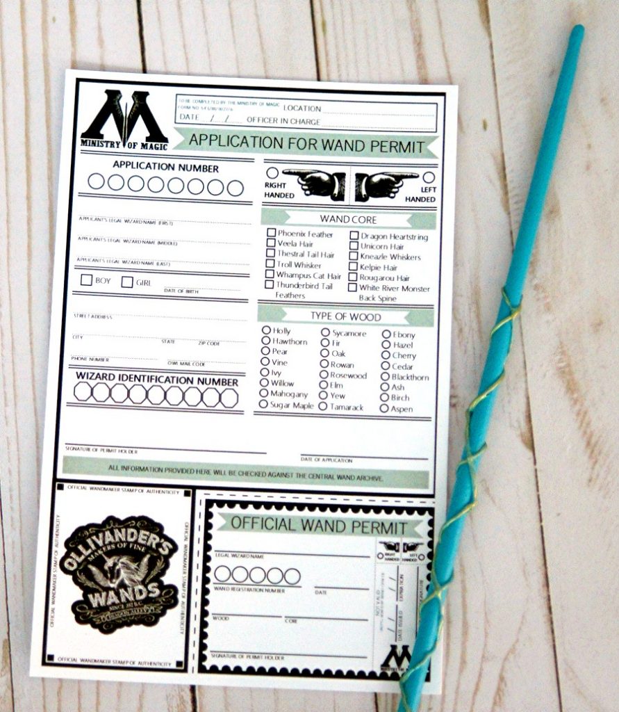 Create Your Own Ministry of Magic Approved Wand