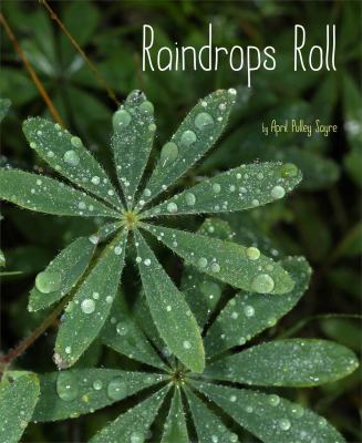 cover image of Raindrops rolls by April Sayre