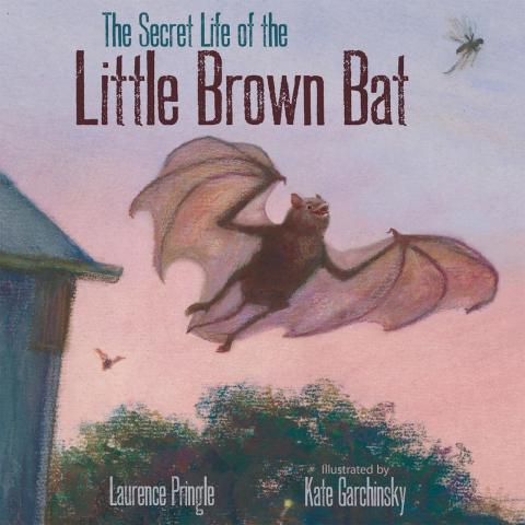 Ranger Mary will be reading The Secret Life of the Little Brown Bat by Laurence Pringle.