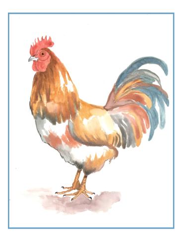 picture of rooster