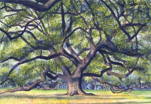 painting of an oak tree