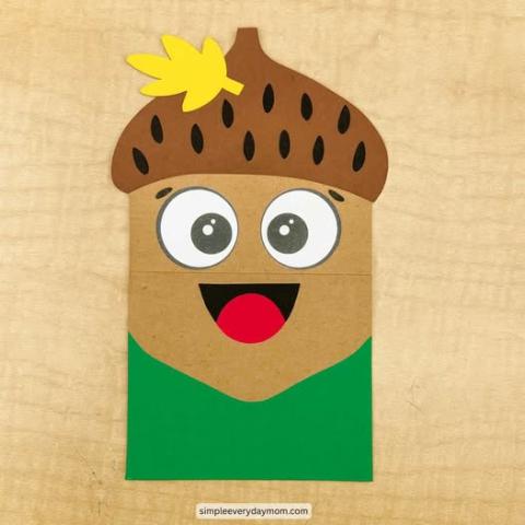 acorn bag