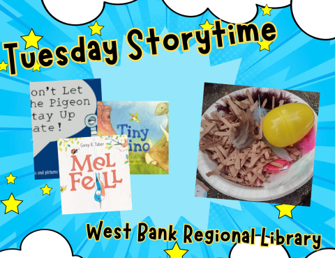 this image depicts three picture books about various types of cartoon birds, with a paper bowl bird's nest craft attached