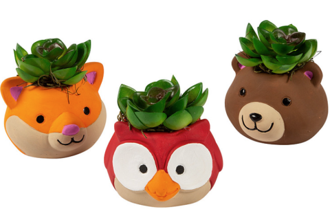 Painted ceramic plant pots of woodland animals with succulent plant.