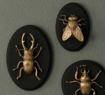 3 different solid black circle frames with gold painted bugs