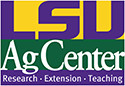 lsu AG