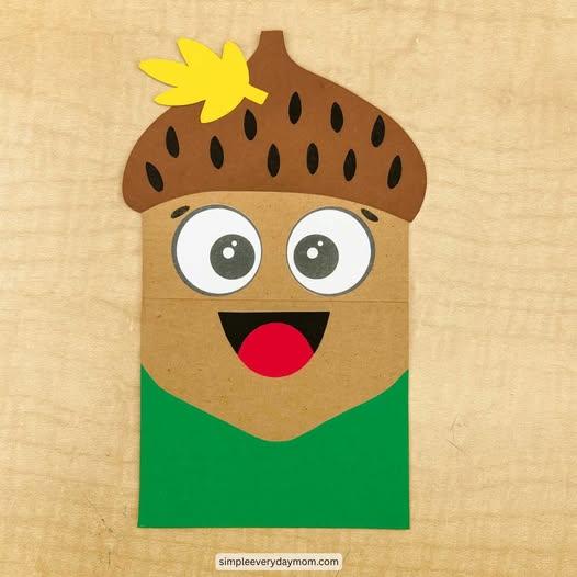 acorn bag